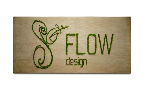Présentation Logo So Flow